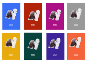 Old English Sheepdog Week Per View 2026 Diary: A4, A5 or A6, Dog Show, Normal or Appointment