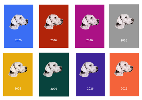 Pointer Week Per View 2026 Diary: A4, A5 or A6, Dog Show, Normal or Appointment