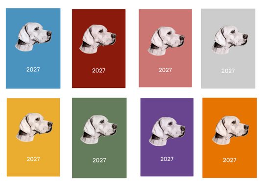 Pointer Week Per View 2027 Diary: A4, A5 or A6, Dog Show, Normal or Appointment