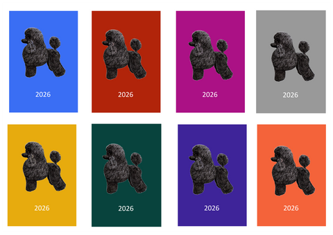 Poodle Week Per View 2026 Diary: A4, A5 or A6, Dog Show, Normal or Appointment