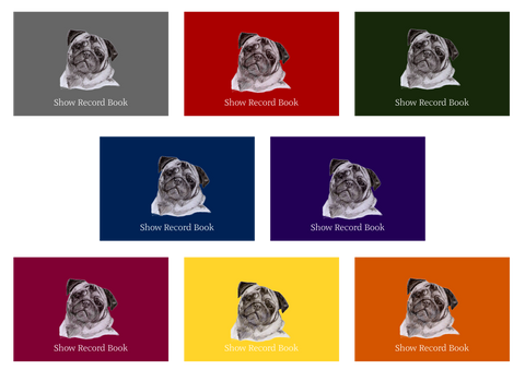 Pug Dog Show Record Book