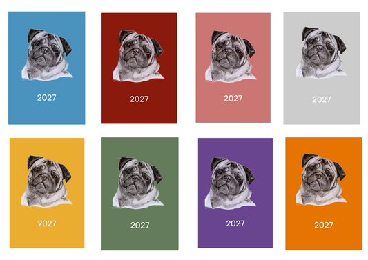 Pug Week Per View 2027 Diary: A4, A5 or A6, Dog Show, Normal or Appointment