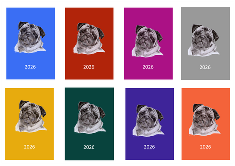 Pug Week Per View 2026 Diary: A4, A5 or A6, Dog Show, Normal or Appointment