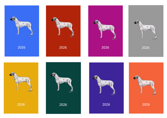 Rhodesian Ridgeback Week Per View 2026 Diary: A4, A5 or A6, Dog Show, Normal or Appointment