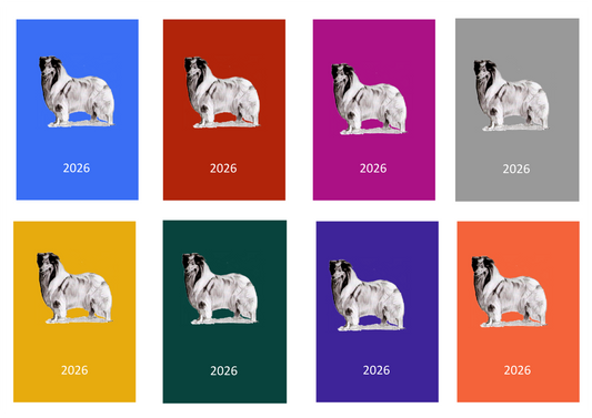 Rough Collie Week Per View 2026 Diary: A4, A5 or A6, Dog Show, Normal or Appointment