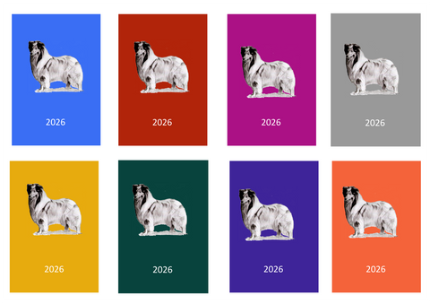 Rough Collie Week Per View 2026 Diary: A4, A5 or A6, Dog Show, Normal or Appointment