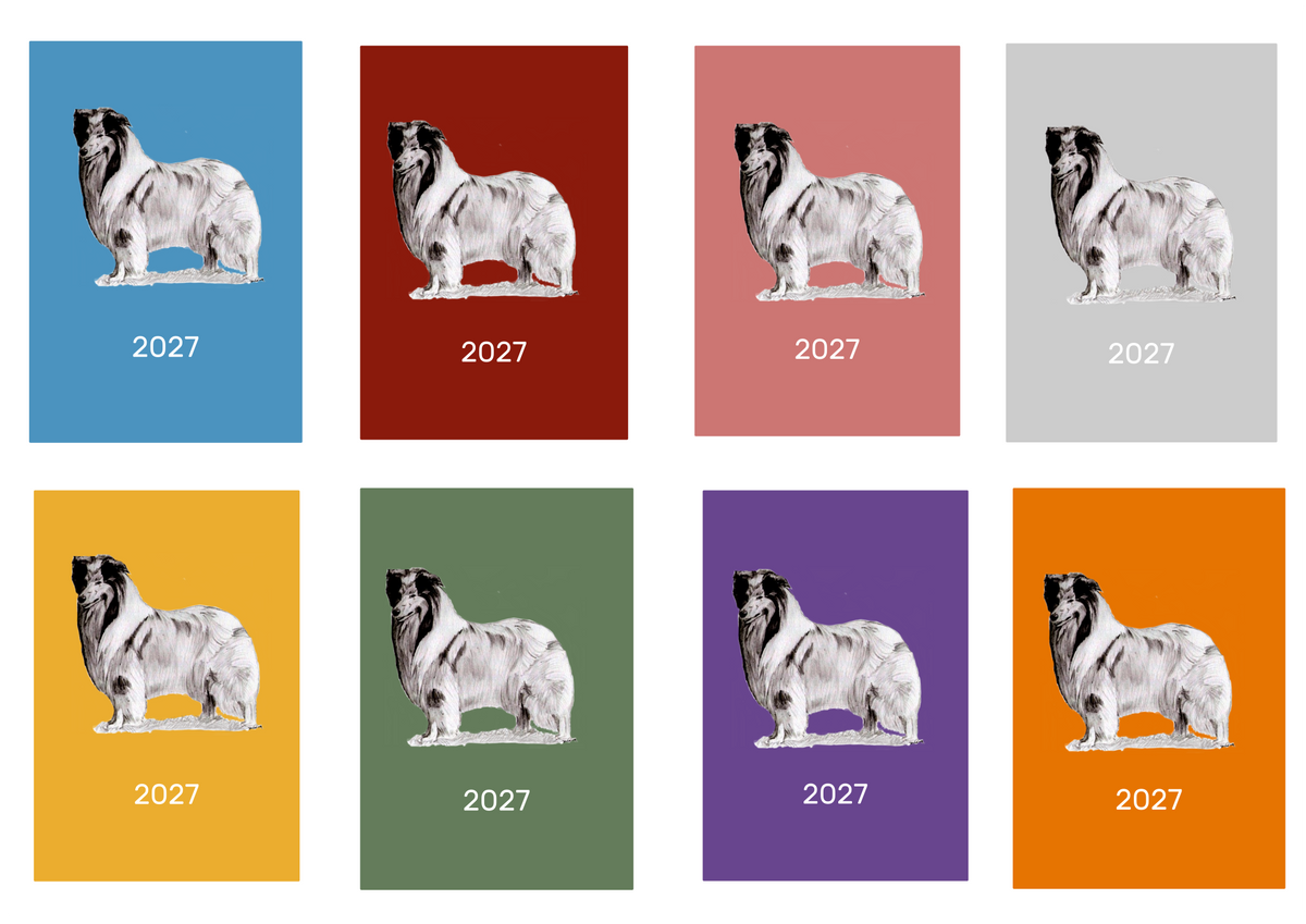 Rough Collie Week Per View 2027 Diary: A4, A5 or A6, Dog Show, Normal or Appointment