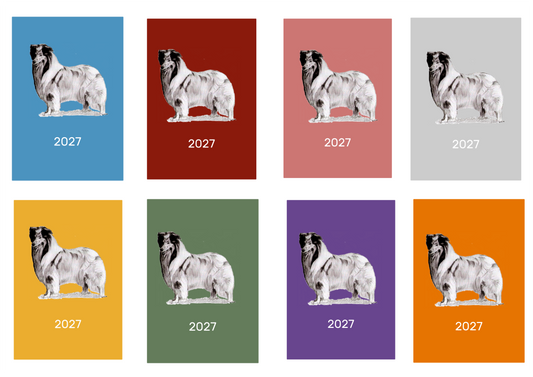 Rough Collie Week Per View 2027 Diary: A4, A5 or A6, Dog Show, Normal or Appointment