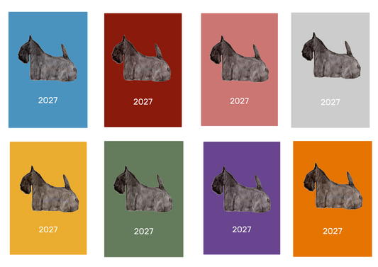 Scottish Terrier Week Per View 2027 Diary: A4, A5 or A6, Dog Show, Normal or Appointment