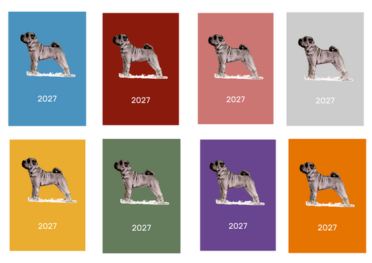 Shar Pei Week Per View 2027 Diary: A4, A5 or A6, Dog Show, Normal or Appointment