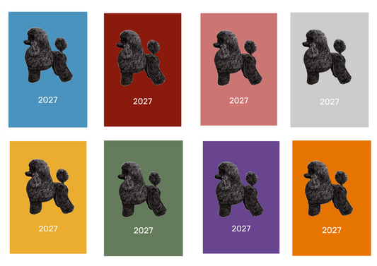 Poodle Week Per View 2027 Diary: A4, A5 or A6, Dog Show, Normal or Appointment