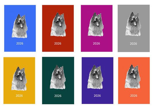 Belgian Shepherd Dog (Terveuren) Week Per View 2026 Diary: A4, A5 or A6, Dog Show, Normal or Appointment