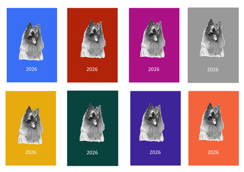 Belgian Shepherd Dog (Terveuren) Week Per View 2026 Diary: A4, A5 or A6, Dog Show, Normal or Appointment