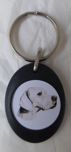 Pointer Keyring