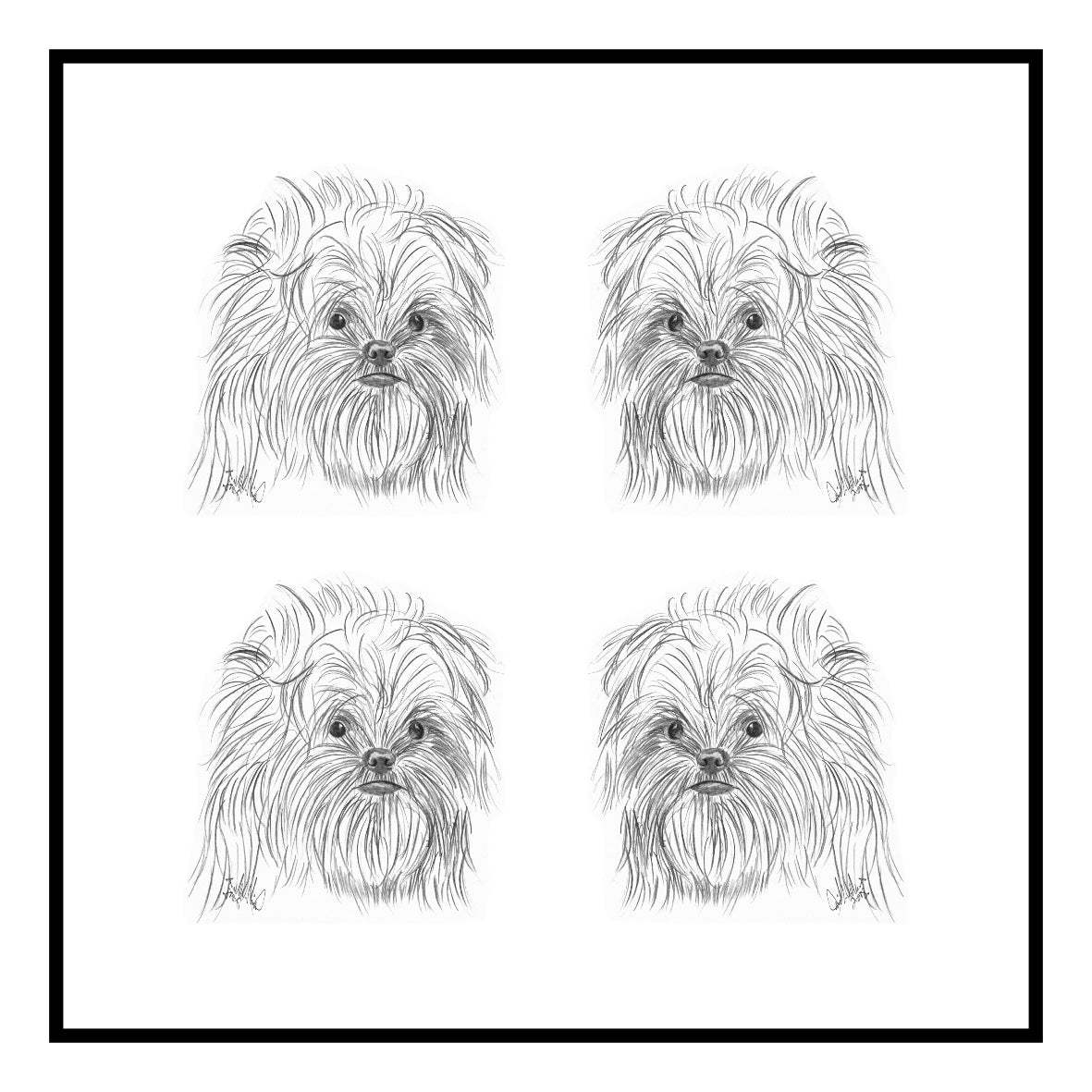 Affenpinscher Greeting Card Choice of 6 Designs BIRTHDAY, THINKING OF YOU, BLANK