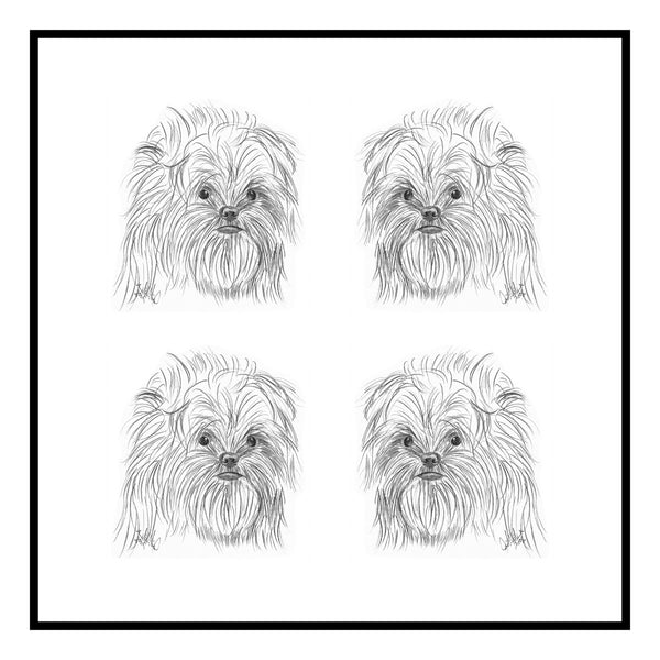 Affenpinscher Greeting Card Choice of 6 Designs BIRTHDAY, THINKING OF YOU, BLANK