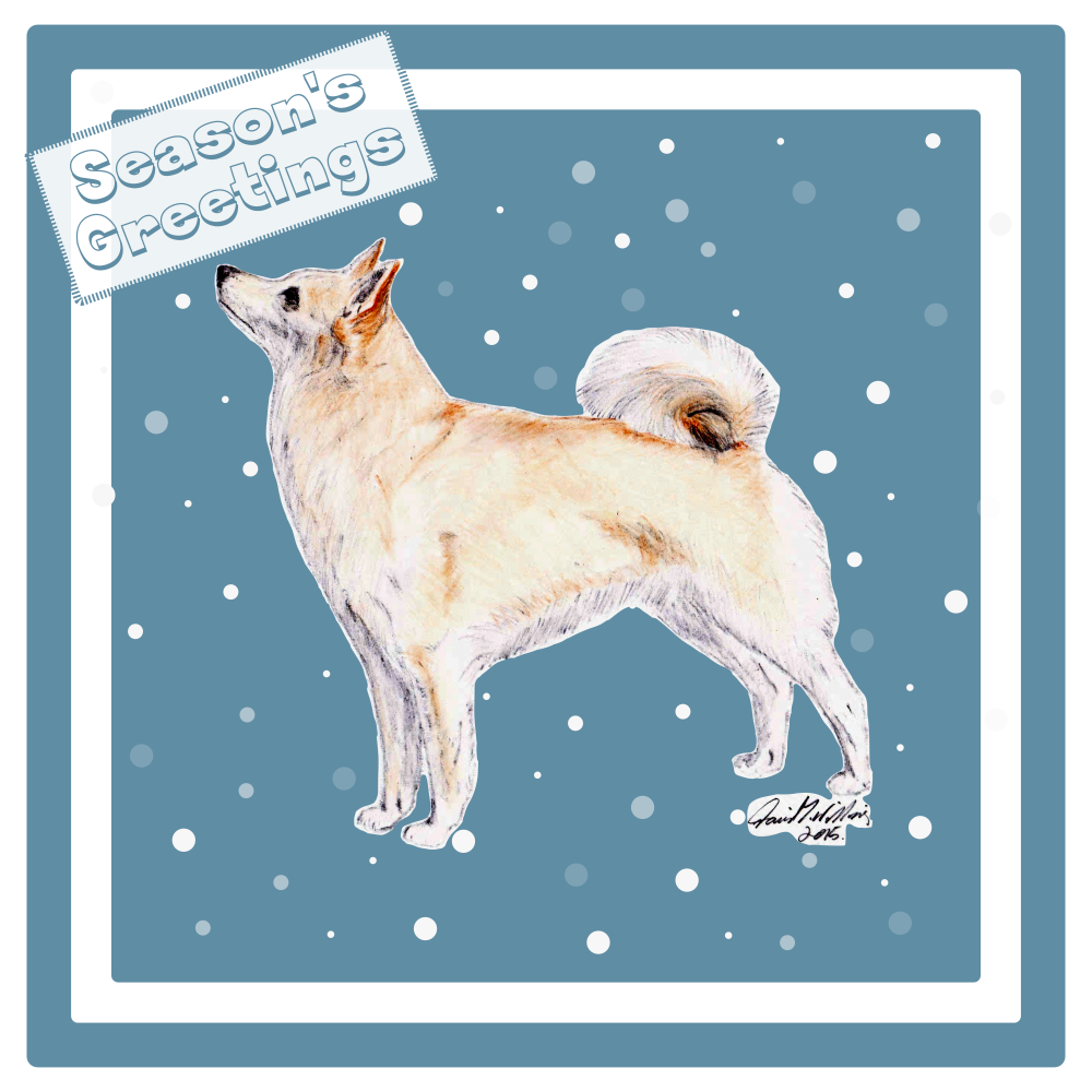 Norwegian Buhund Christmas Card Choice of 3 Card Designs Single or Multi Pack