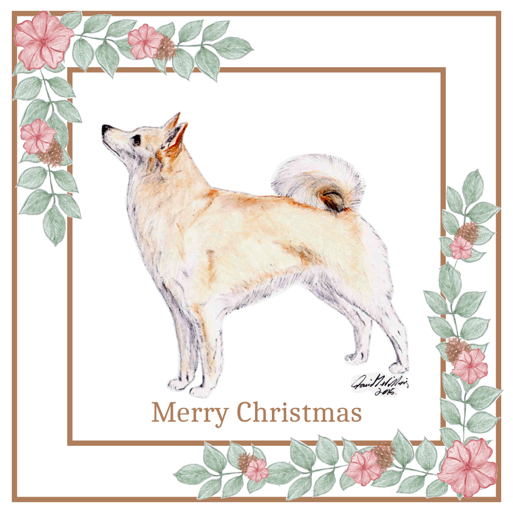 Norwegian Buhund Christmas Card Choice of 3 Card Designs Single or Multi Pack