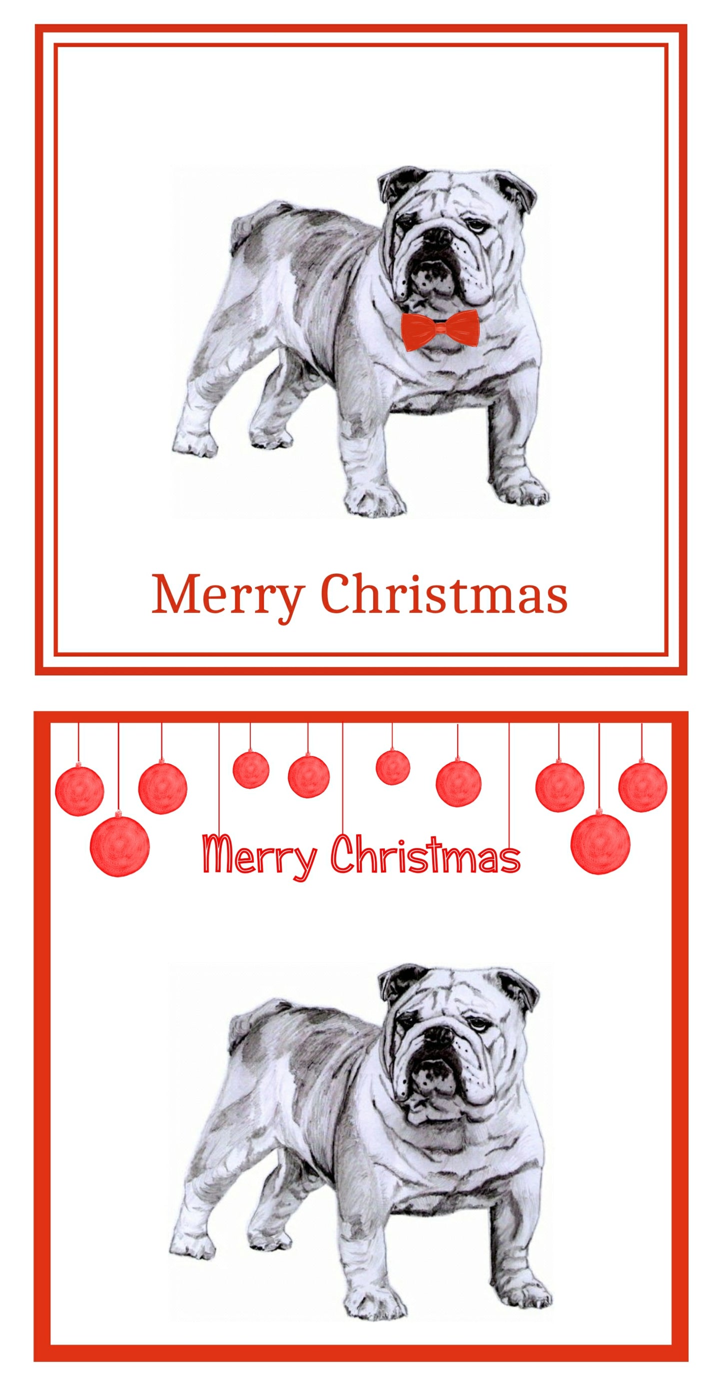 Bulldog Christmas Cards Pack of 6