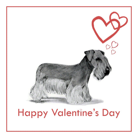 Cesky Terrier Valentine's Day Card PERSONALISATION AVAILABLE