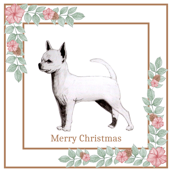 S/C Chihuahua Christmas Card Choice of 3 Card Designs Single or Multi Pack