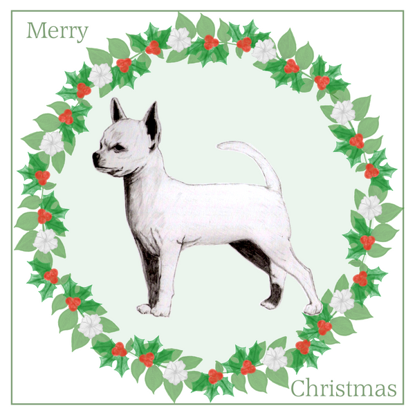 S/C Chihuahua Christmas Card Choice of 3 Card Designs Single or Multi Pack