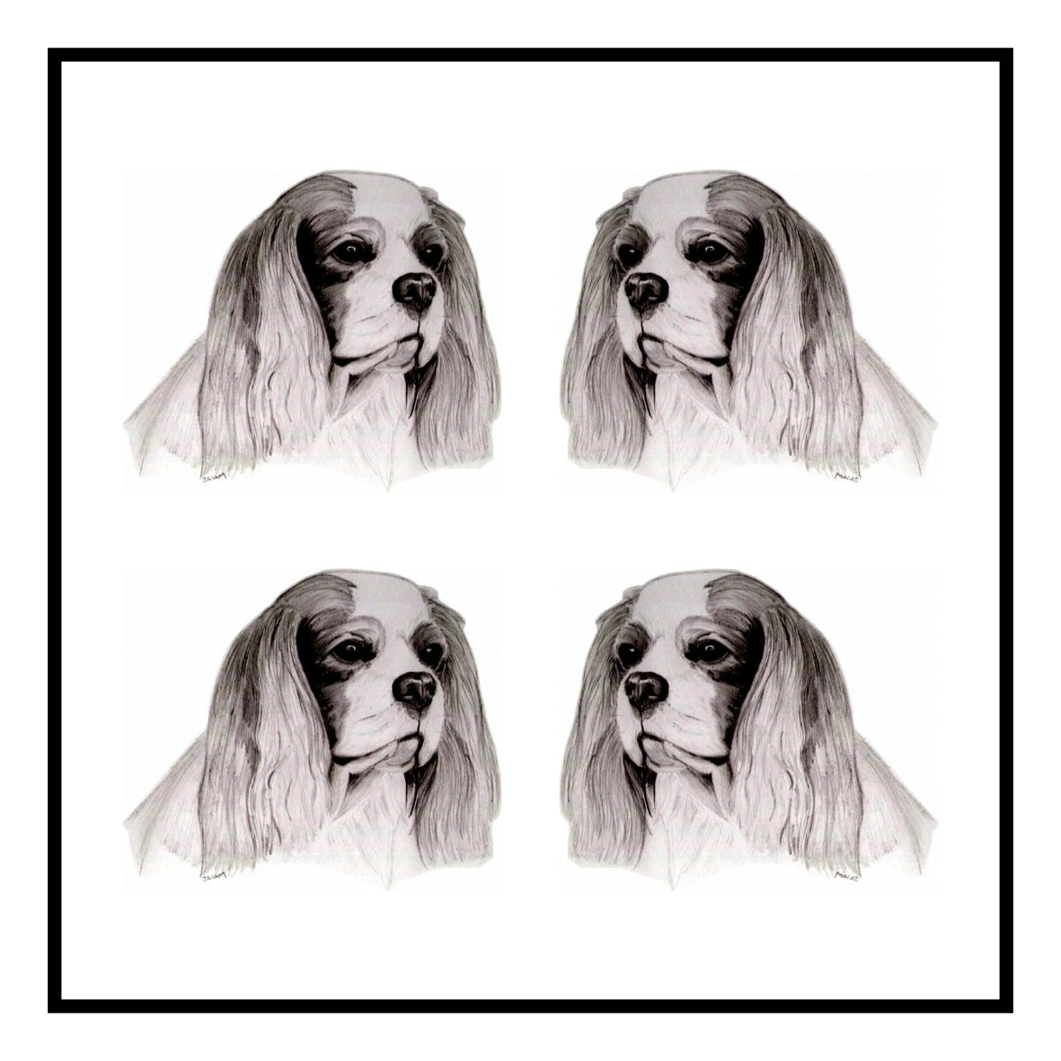 Cavalier King Charles Spaniel Greeting Card Choice of 6 Designs BIRTHDAY, THINKING OF YOU, BLANK