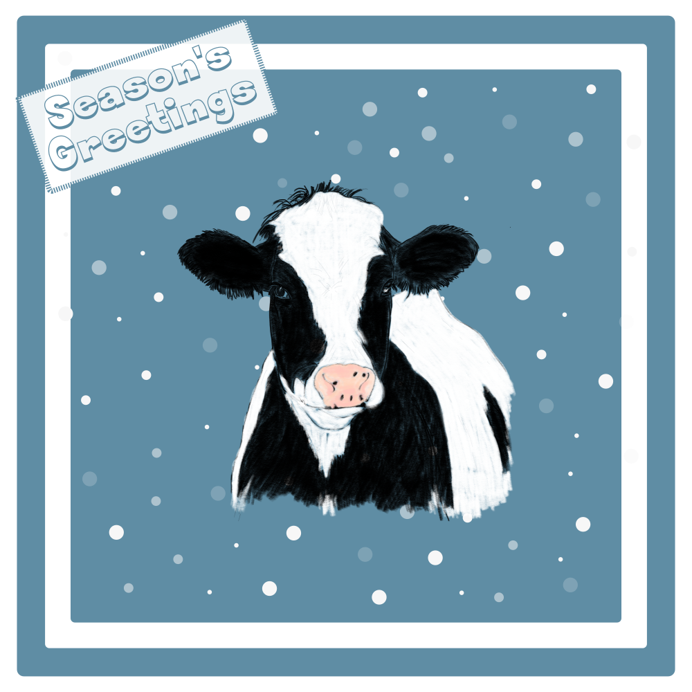 Cow Christmas Card Choice of 3 Card Designs Single or Multi Pack