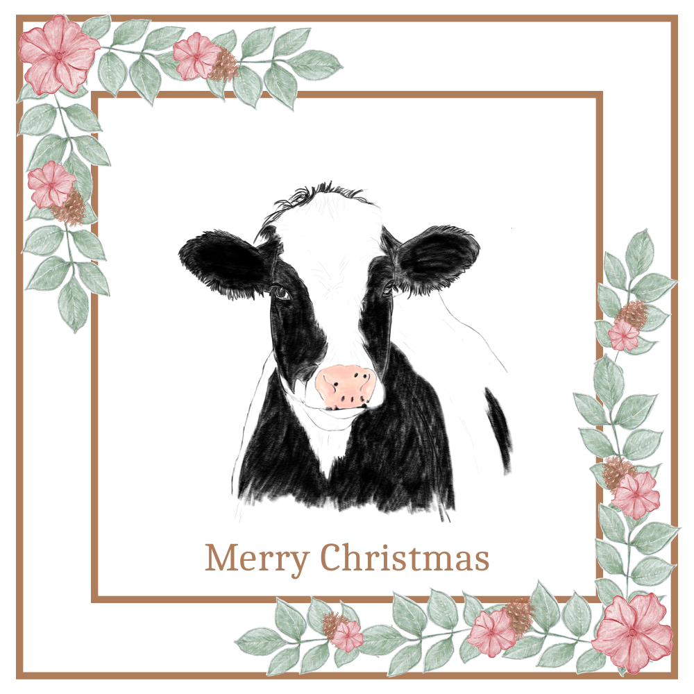 Cow Christmas Card Choice of 3 Card Designs Single or Multi Pack