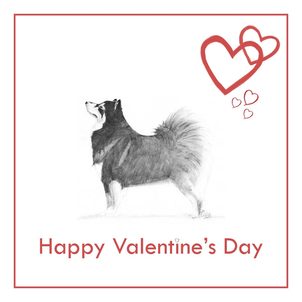 Finnish Lapphund Valentine's Day Card PERSONALISATION AVAILABLE