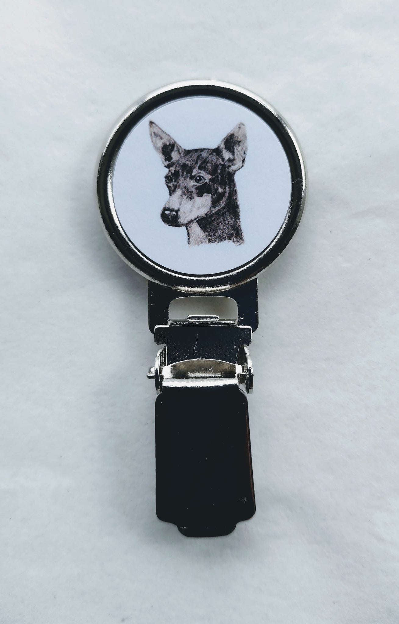 English Toy Terrier Dog Show Ring Clip