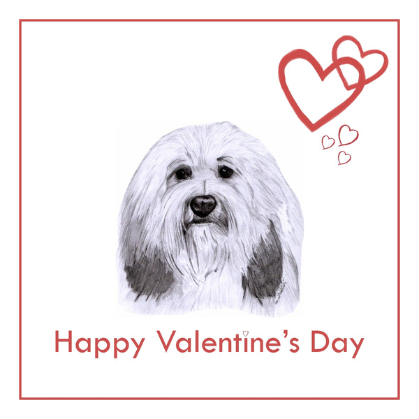 Lowchen Valentine's Day Card PERSONALISATION AVAILABLE