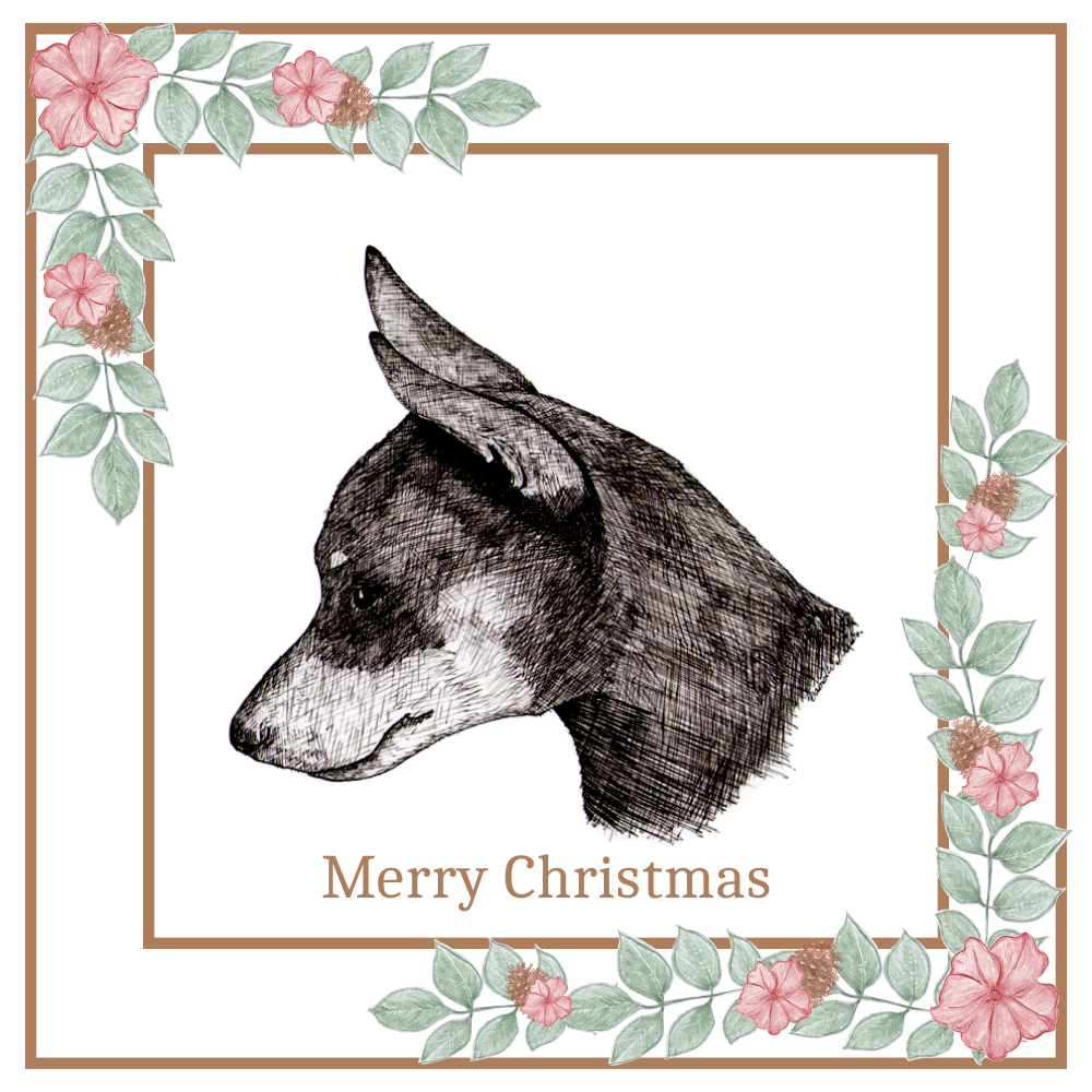 Miniature Pinscher Christmas Card Choice of 3 Card Designs Single or Multi Pack