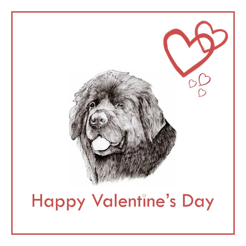 Newfoundland Valentine's Day Card PERSONALISATION AVAILABLE