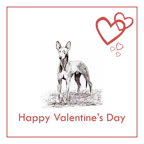 Pharaoh Hound Valentine's Day Card PERSONALISATION AVAILABLE