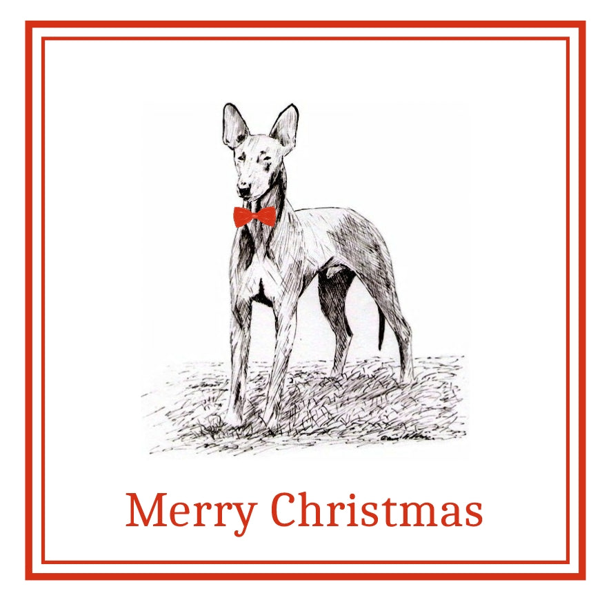 Pharaoh Hound Christmas Cards Pack of 6