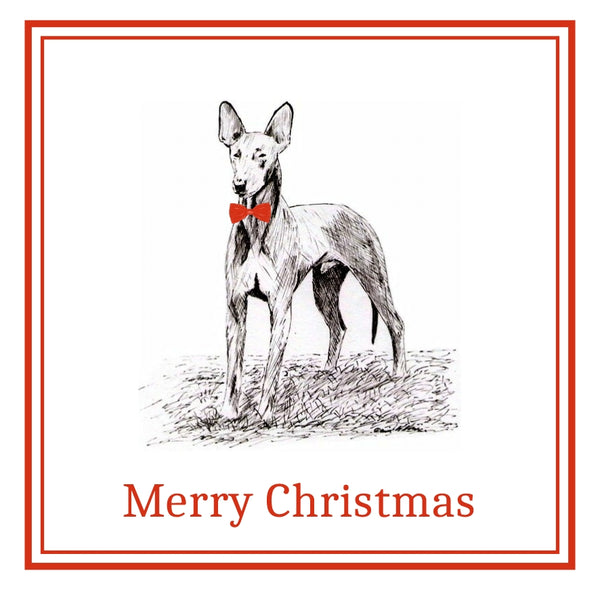Pharaoh Hound Christmas Cards Pack of 6