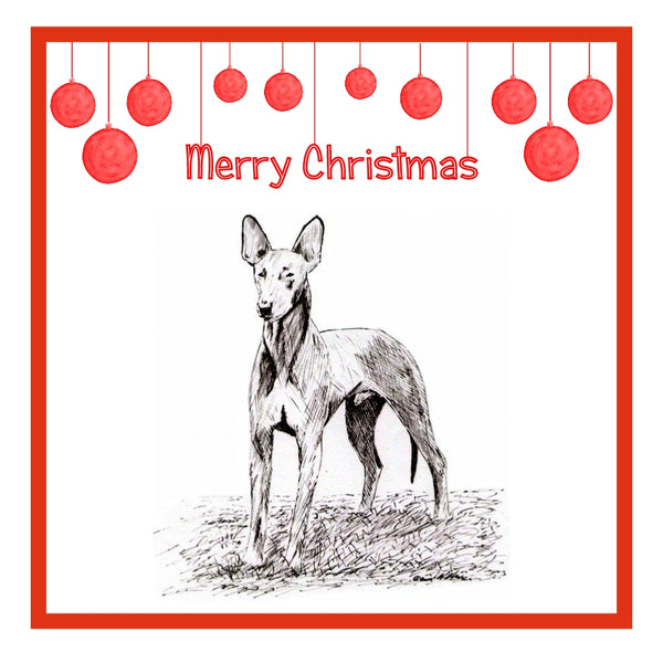 Pharaoh Hound Christmas Cards Pack of 6