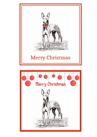 Pharaoh Hound Christmas Cards Pack of 6