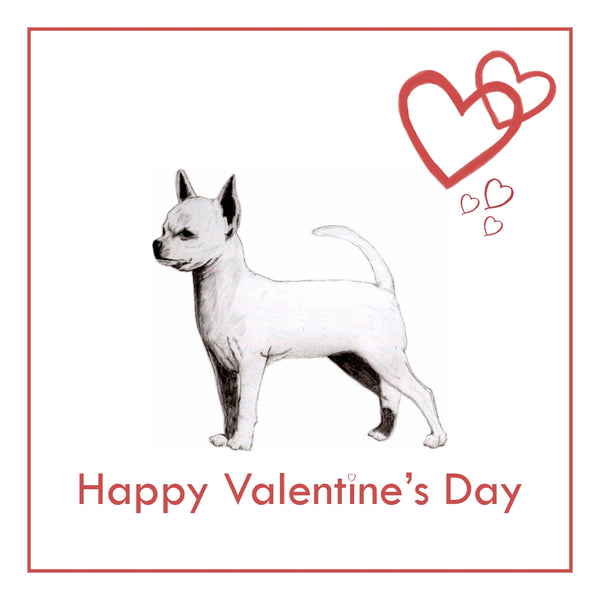 S/C Chihuahua Valentine's Day Card PERSONALISATION AVAILABLE