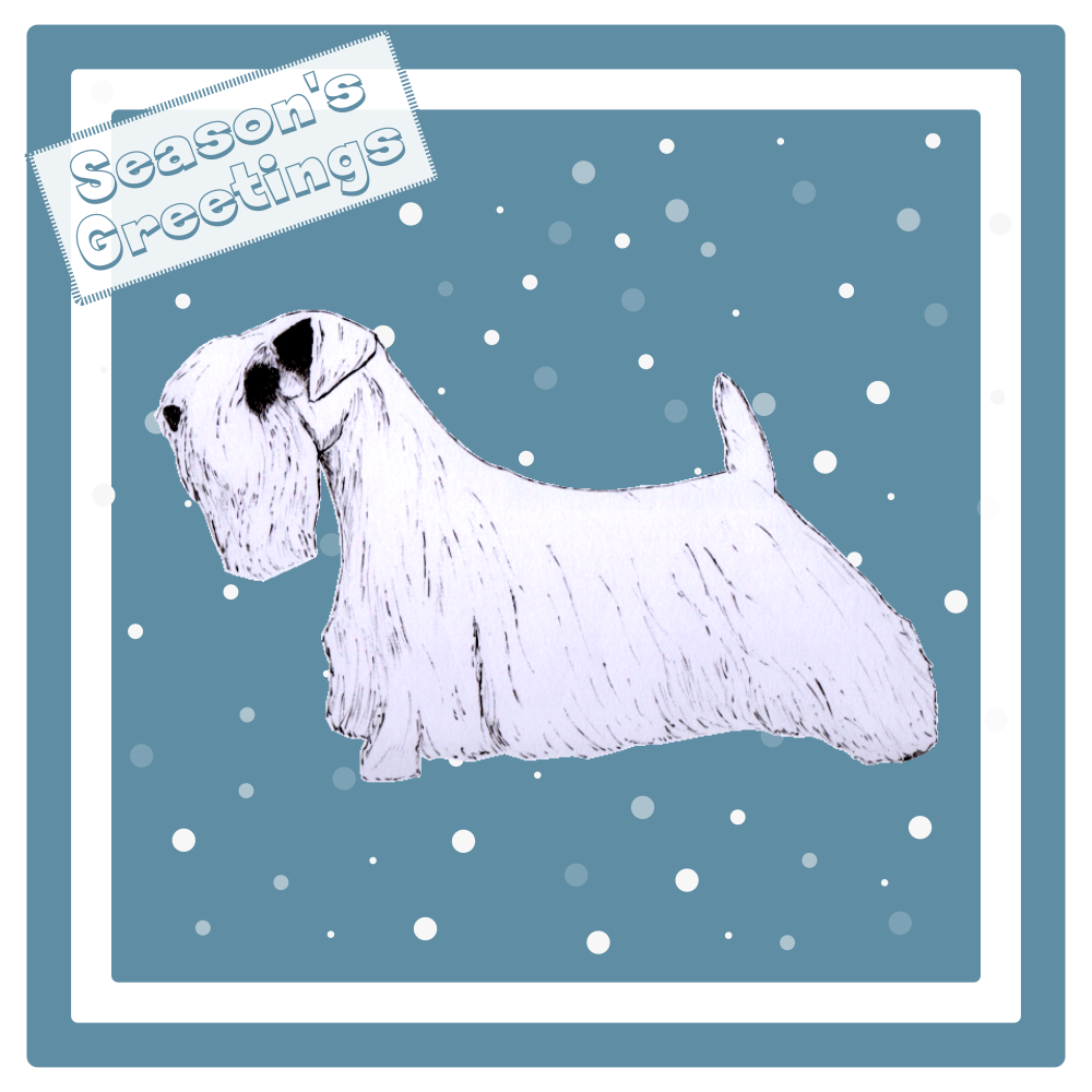 Sealyham Terrier Christmas Card Choice of 3 Card Designs Single or Multi Pack