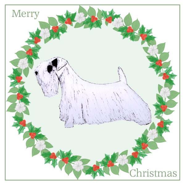 Sealyham Terrier Christmas Card Choice of 3 Card Designs Single or Multi Pack