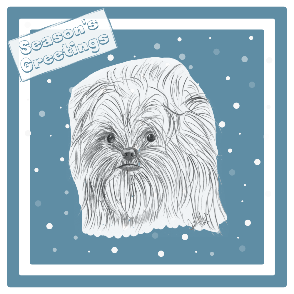 Affenpinscher Christmas Card Choice of 3 Card Designs Single or Multi Pack