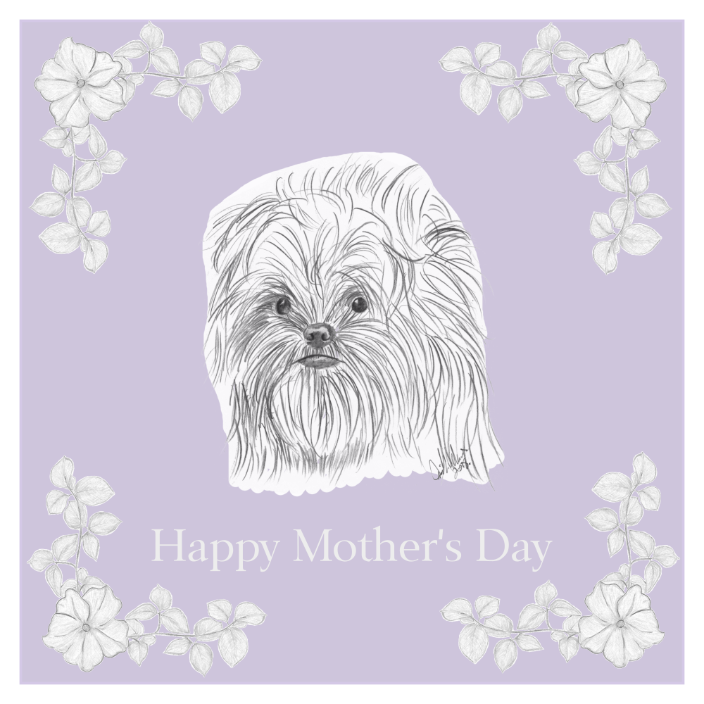 Affenpinscher Mother's Day Card