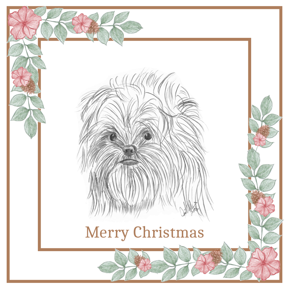 Affenpinscher Christmas Card Choice of 3 Card Designs Single or Multi Pack