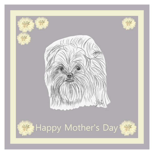 Affenpinscher Mother's Day Card