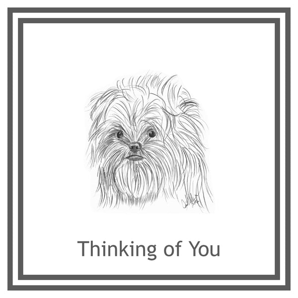 Affenpinscher Greeting Card Choice of 6 Designs BIRTHDAY, THINKING OF YOU, BLANK