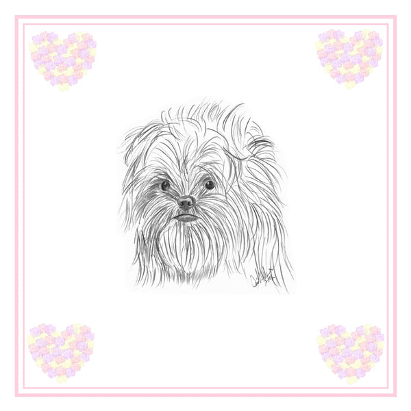 Affenpinscher Greeting Card Choice of 6 Designs BIRTHDAY, THINKING OF YOU, BLANK