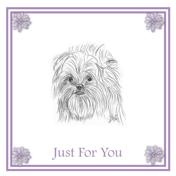 Affenpinscher Greeting Card Choice of 6 Designs BIRTHDAY, THINKING OF YOU, BLANK