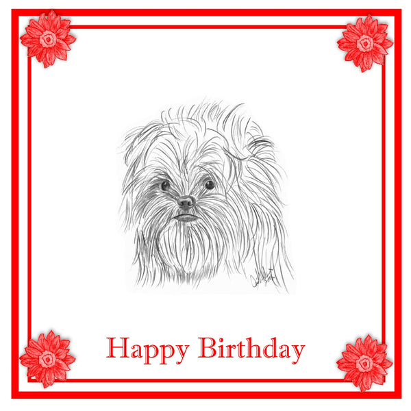 Affenpinscher Greeting Card Choice of 6 Designs BIRTHDAY, THINKING OF YOU, BLANK